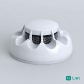 stels_liviFS_001.jpg